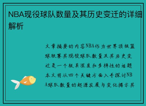 NBA现役球队数量及其历史变迁的详细解析